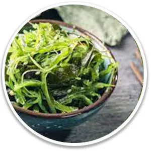 ikaria-lean-belly-juice-Fucoxanthin