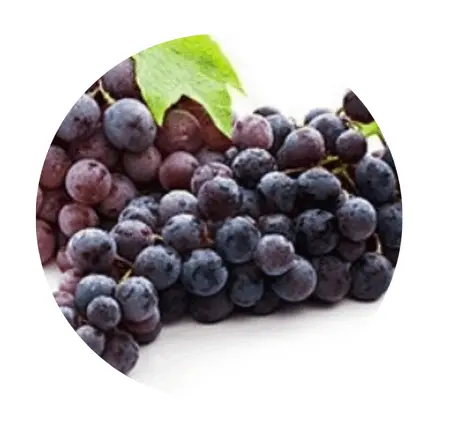 ikaria-lean-belly-juice-Resveratrol